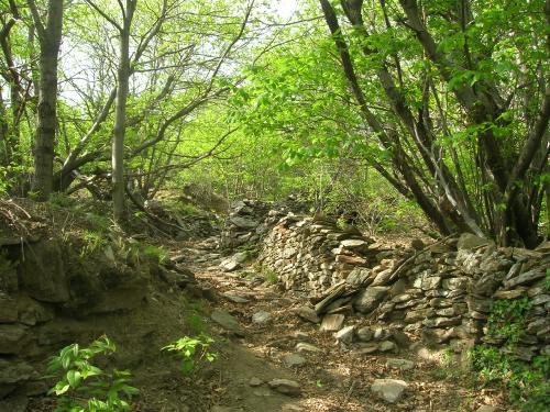 Balade en Cevennes autour du Mas Les Appenets