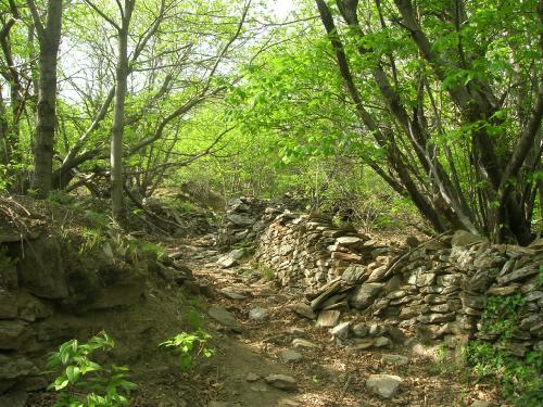 Balade en Cevennes autour du Mas Les Appenets