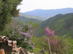 Vallée du Galeizon
